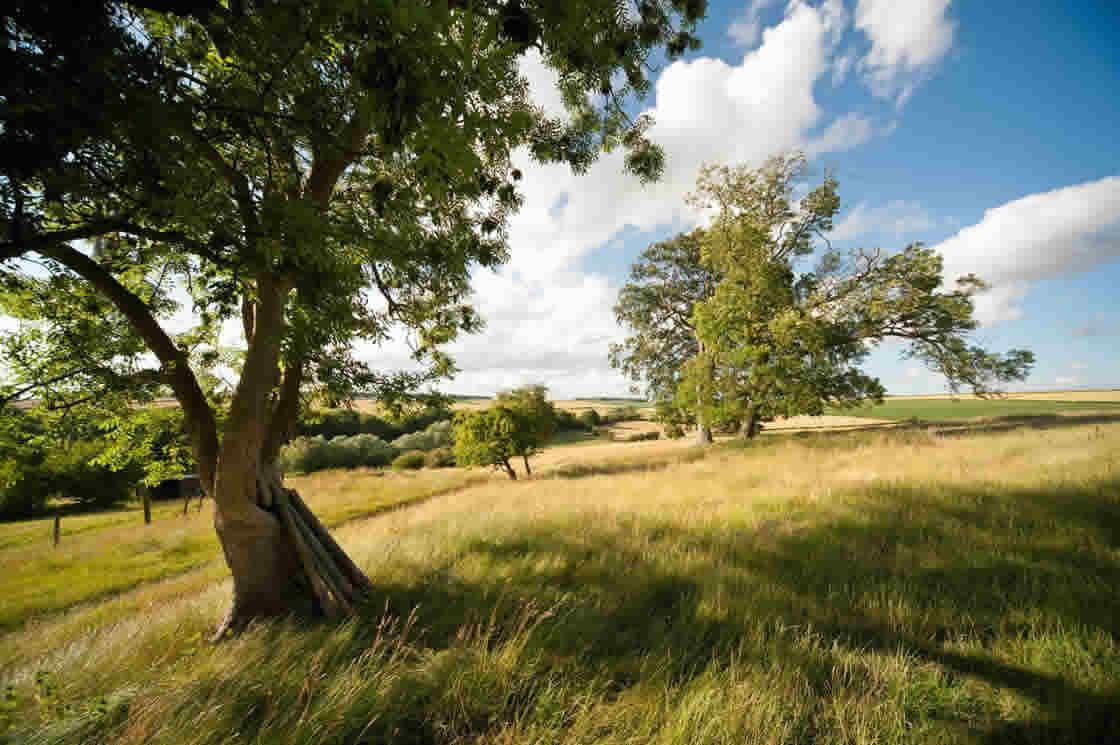 A view down the field behind Manor Farm